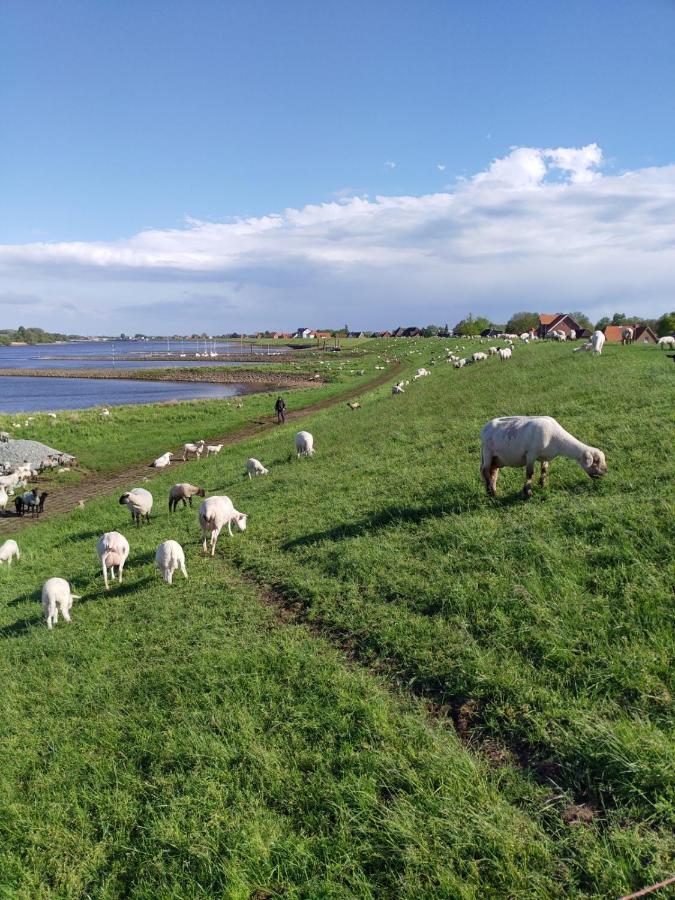 Ferienwohnung Elbe Diek Stelle Экстерьер фото